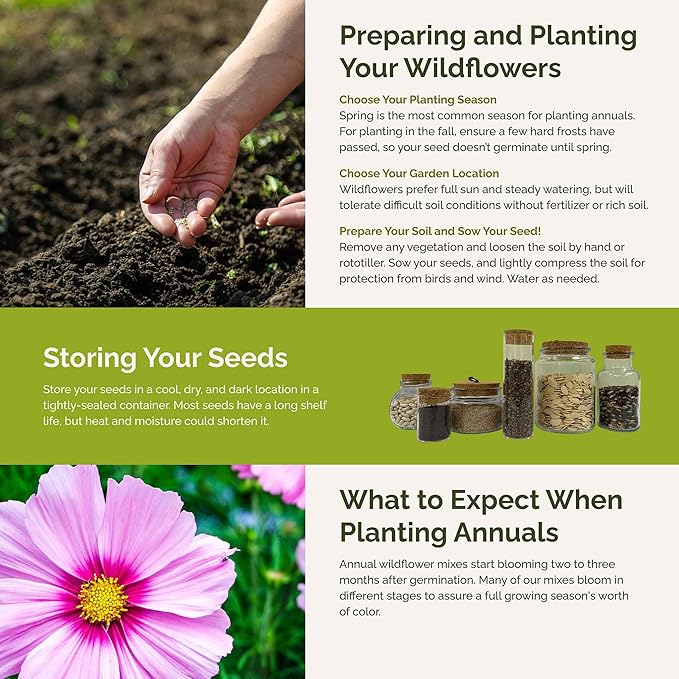 Eden Brothers Purple Rain Flower Mixed Seeds for Planting, 1/4 lb, 120,000+ Seeds with Zinnia Purple Prince & Violet Queen, Cosmos, Attracts Pollinators, Plant in Spring, Zones 3, 4, 5, 6, 7, 8, 9, 10