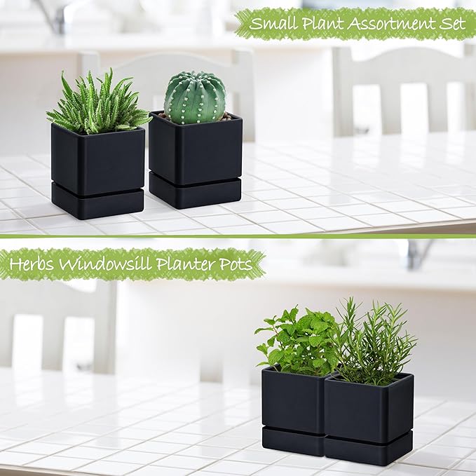 4 Inch Herb Planter Pot, Plastic Planter with Drainage Holes and Saucer, Modern Decorative Gardening Pot for Indoor Plants, Flowers, Herbs, Succulents, Black, Set of 2, 76-Y-B-2