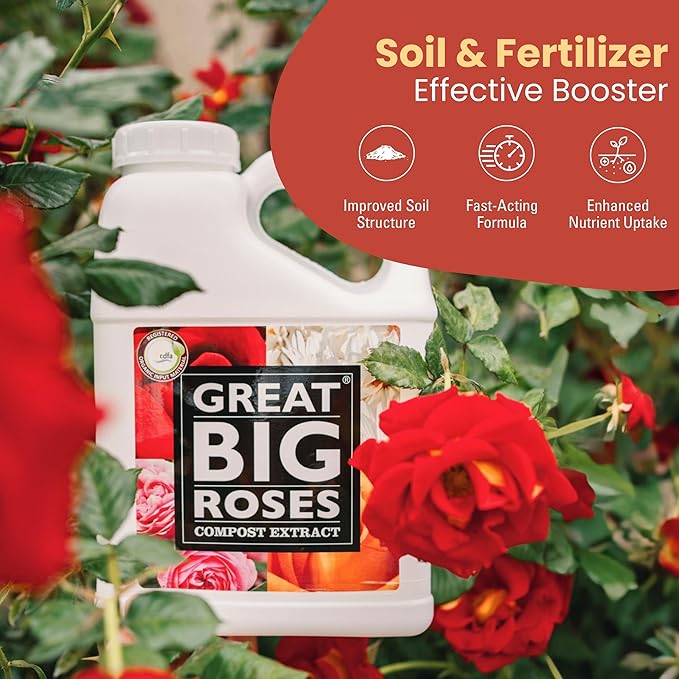 Great Big Roses – Soil and Rose Fertilizer Booster to Grow The Best Roses and Flowers; Rose Food Compost Extract for Rose Bush, 1 Gallon Concentrate (Makes 32 Gallons)