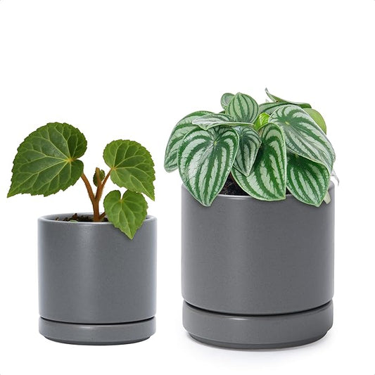 D'vine Dev 3.5 Inch & 4.7 Inch Ceramic Planter Pots for Plants with Drainage Hole and Saucer, X-Small Plant Pots Set, Speckled Grey, 94-G-XS-3