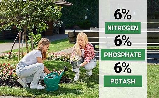 6-6-6 All-Purpose Professional Plant Food Fertilizer; Ideal for Winter Care & Spring Feeding, Perfect Balanced NPK for Indoor and Outdoor Plants (2 QUARTS)