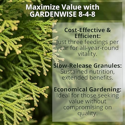 8-4-8 Acidic Fertilizer for Azaleas, Camellias (Camelia), Hydrangeas, Blueberries, Gardenias, Magnolia Trees, Evergreens, and Rhododendrons - Ideal Iron-Rich Plant Food (1 Quart)