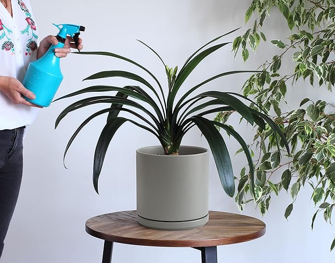 D'vine Dev 6 Inch & 8 Inch Ceramic Planter Pots for Plants with Drainage Hole and Saucer, Medium Plant Pots Set, Grey, 94-G-M-3