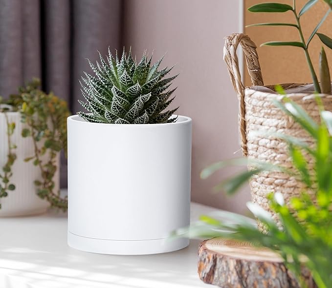 D'vine Dev 6 Pack 4 Inch Modern Plastic Plant Pots, Small Garden Planters for Plant with Drainage Holes and Saucers, White Color, 74-Z-E-3