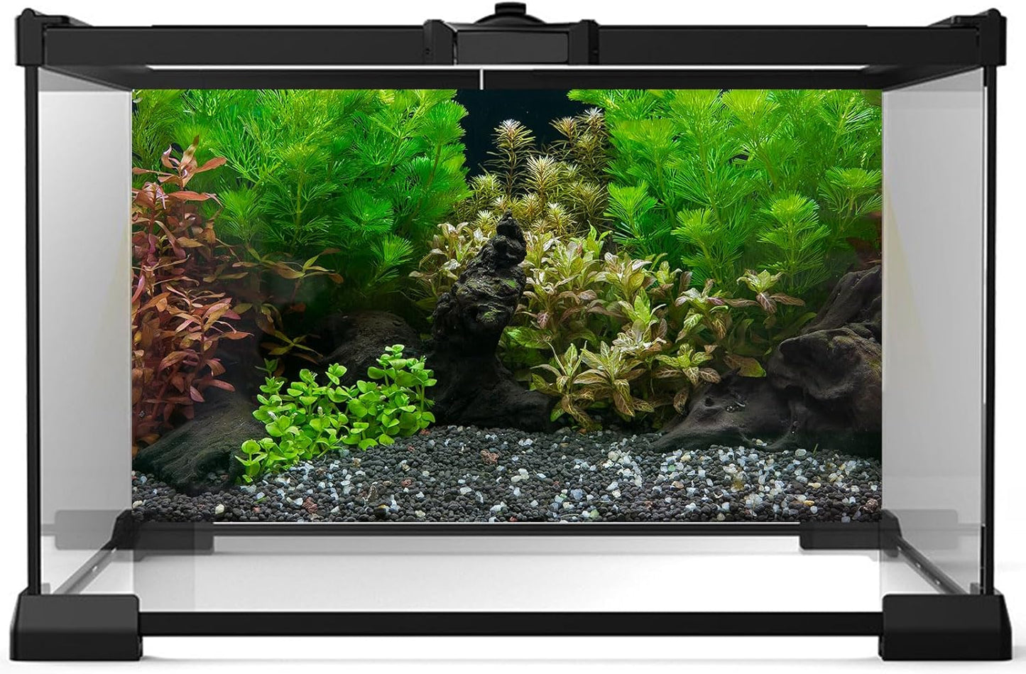 Aquarium Background Exquisite Underwater Grass Leaves with Pebbles Aquarium Backdrop Vivid Green Aquatic Plant Stone with Dead Woods and Fresh Leaves Tank Background Decors Vinyl 24x12in
