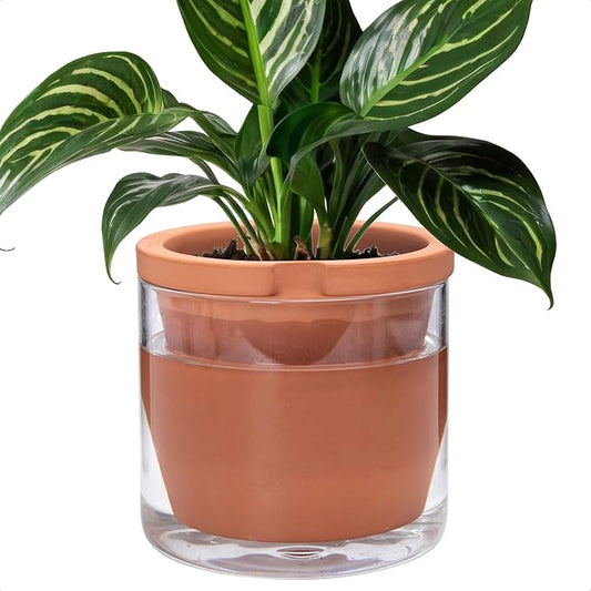 D'vine Dev 8 Inch Design Self Watering Pot for Indoor Plants, Terracotta Planter with Cylinder Glass Cup, 37-X-C-1