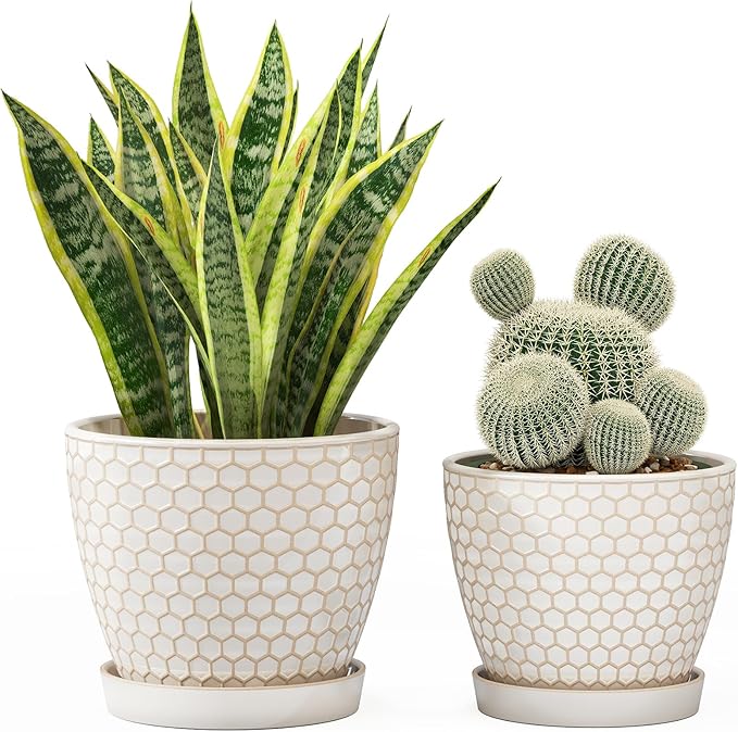Docrin Ceramic Plant Pots Indoor, 6.6 + 5.5 Inch Flower Pots with Drainage Holes and Saucer for Plants, Set of 2, Milky White Honeycomb