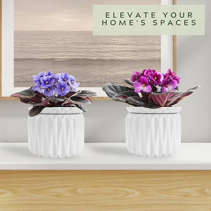6 inch Self Watering Pot for Indoor Plants, African Violet Pot Ceramic, Flowers Planter (4 inch Opening), Holds 3 Weeks of Water (2 Pack White)