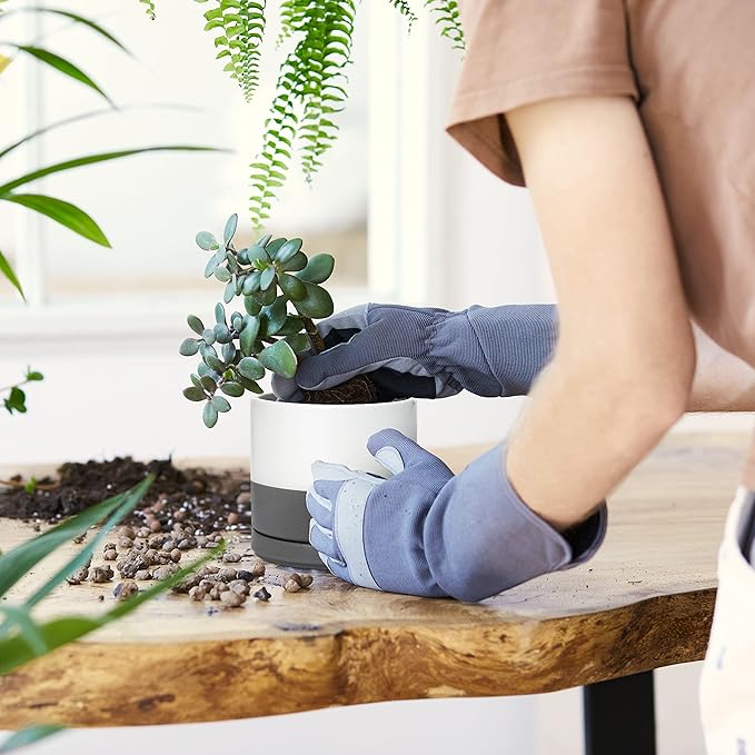 D'vine Dev Set of 4 Small Ceramic Plant Pots, 4.6 Inch Succulent Planter Pot for Plants with Drainage Hole and Saucer, White/Speckled Grey, 94-X-B-6