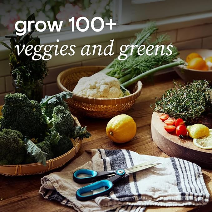 Farmstand Starter Kit + 36 Seedling Credits | Large Hydroponic Growing System Kit | Self-Watering Outdoor Vertical Garden Planter Tower | 6ft 1in | Made in USA