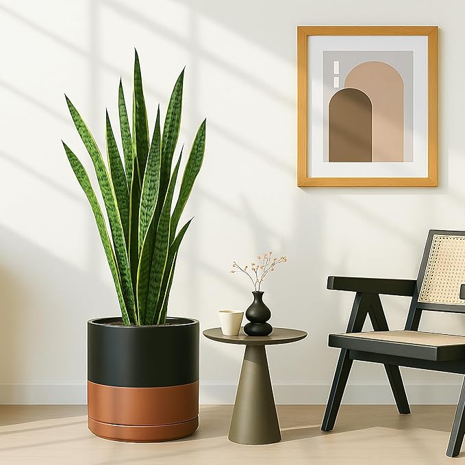 D'vine Dev 12 Inch Ceramic Planter Pot with Drainage Hole and Saucer, Indoor Cylinder Round Planter Pot, Black/Speckled Tan, 94-O-F-7