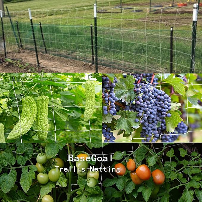 All-Weather Trellis Netting Mesh Plant Garden Vine Growing Flexible String Net (6" Mesh ployester, 5' Wx 15'L)