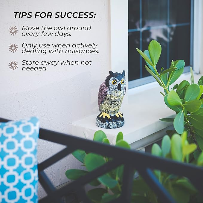 Galashield Owl Decoy to Scare Birds Away | Plastic Owls to Scare Birds Away | Owl Statue for Garden & Outdoors