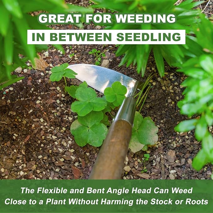 Haliaeetus Sickle Hoe, 58'' Long Handle Japanese Hand Hoe for Standing to Remove Weed, Stainless Steel Scraper Hoe, Bent Angle Weeding Sickle for Fastly Scraping Out Weed on Flower Bed, Between Plants