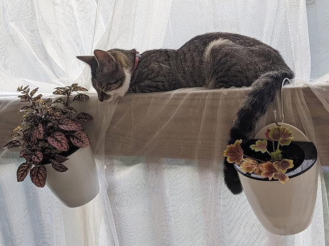 8 Packs 5" Plastic Self Watering Pots Wall Hanging Planters Wall Mounted Wicking Flower Pots for Indoor and Outdoor African Violet, Ocean Spider Plant, Orchid, White