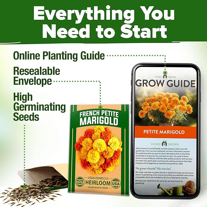 HOME GROWN 𝗨𝗦𝗔 𝗣𝗥𝗘𝗠𝗜𝗨𝗠 Petite French Marigold Seeds 329+ Flower Seeds for Planting Outdoors Easy to Grow Companion Plant & Quick Blooming Pollinator Heirloom Wildflower Seed (Tagetes patula)