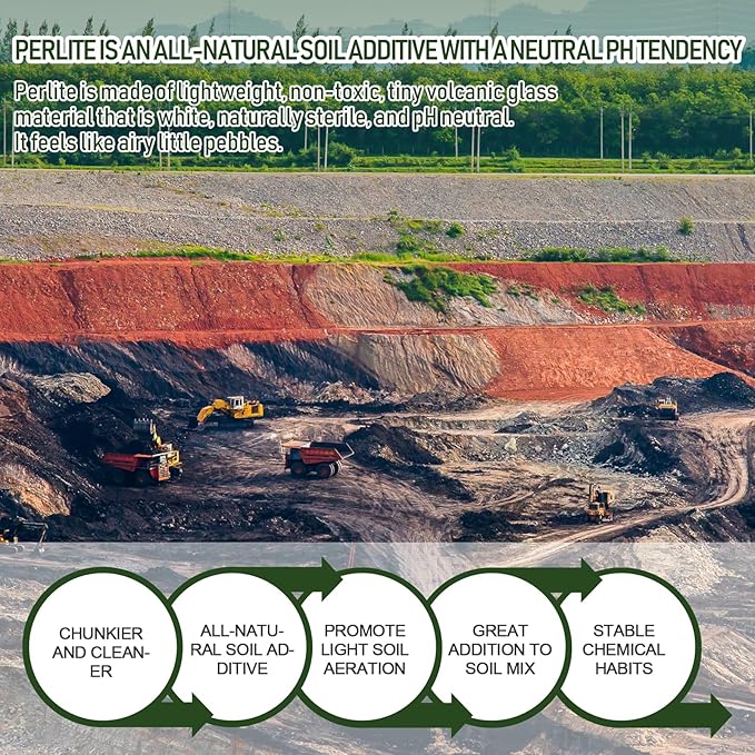 30QT Horticultural Perlite Bulk, Organic Perlite for Plants, Course Perlite for Gardening, for Plants Indoor, for Houseplants, to Promotes Soil Root Growth, and Water Drainage and Plant Growth(3-6mm)