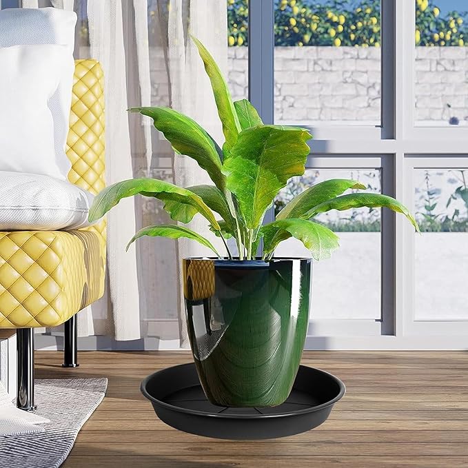 6 Pack of Plant Saucer 6 inch, Black Plastic Flower Plant Pot Saucer, Heavy Duty Plant Drip Trays Saucers for Indoor, Plant Water Tray for Planters