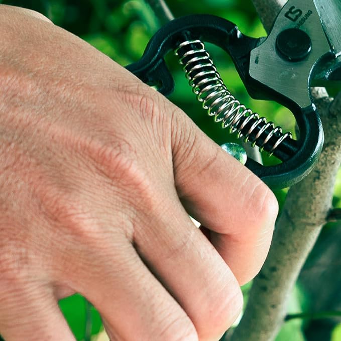 DAESUNG Bypass Pruning Shears For Gardening, Bypass Pruner For Gardening Heavy Duty, Bypass Pruners, Garden Shears Pruning Heavy Duty, with 5/8 Inch Cutting Capacity VGS-001 (Made in Vietnam)