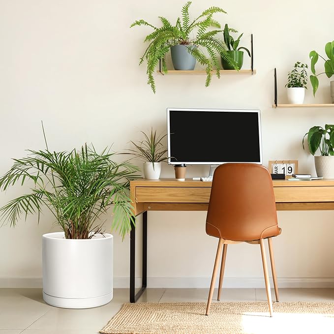 D'vine Dev 14 Inch Ceramic Planter Pot with Drainage Hole and Saucer, Indoor Cylinder Round Planter Pot, White, 94-O-G-1