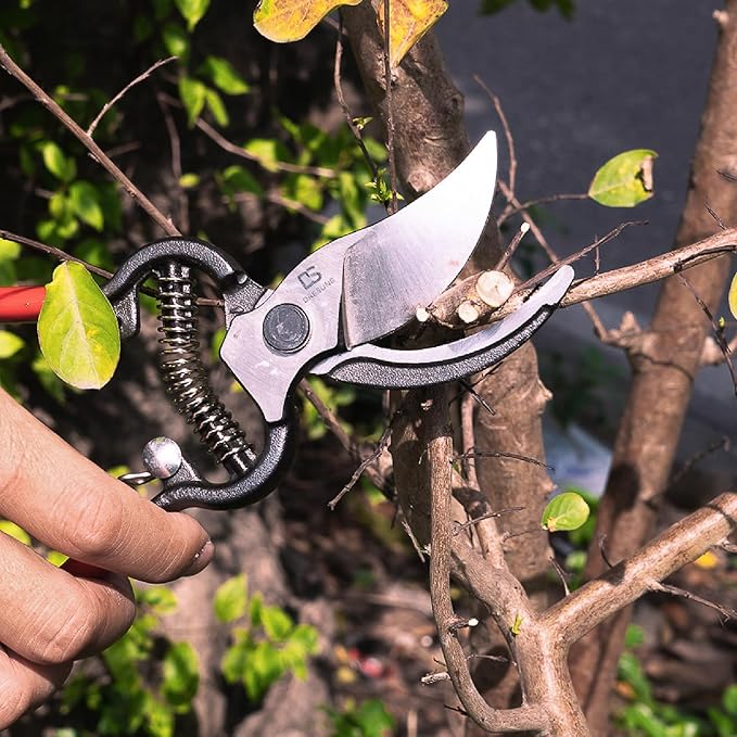 DAESUNG Bypass Pruning Shears For Gardening, Bypass Pruner For Gardening Heavy Duty, Bypass Pruners, Garden Shears Pruning Heavy Duty, with 5/8 Inch Cutting Capacity VGS-001 (Made in Vietnam)