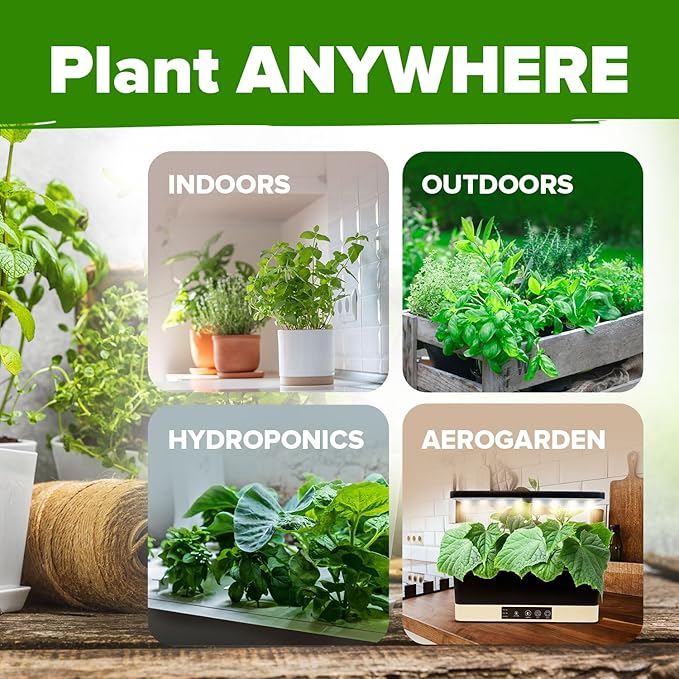 HOME GROWN 30 Herb Seeds for Planting 9,500+ Non-GMO Heirloom Seeds | Extra Large Variety Pack Herb Kit – Indoor Outdoor & Hydroponic | Culinary Seed Set | Grow Your Own Herbs | Gardening Gift