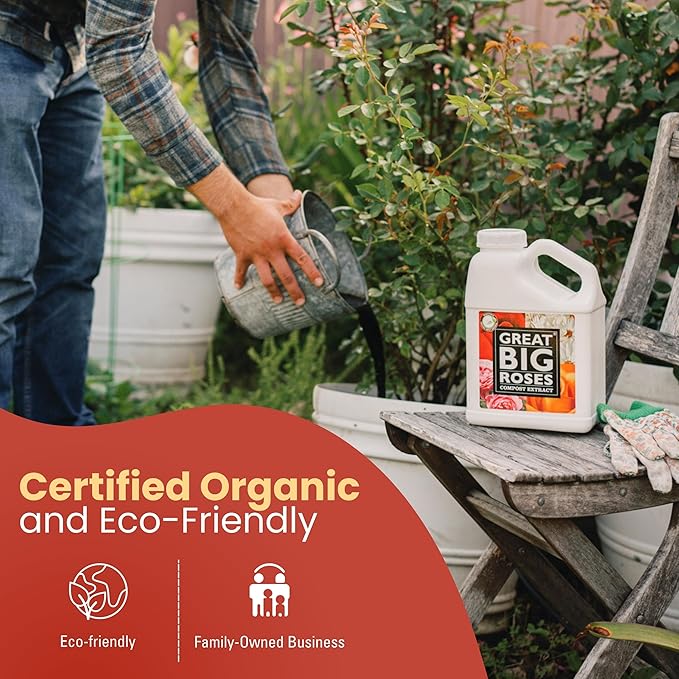 Great Big Roses – Soil and Rose Fertilizer Booster to Grow The Best Roses and Flowers; Rose Food Compost Extract for Rose Bush, 1 Gallon Concentrate (Makes 32 Gallons)