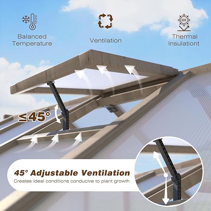 6x10 FT Green House for Outdoor, 6MM Thick Polycarbonate Panel Wooden Walk-in Greenhouse Kit with Lockable Door and Adjustable Roof Vent, Backyard Garden, Light Mocha Brown