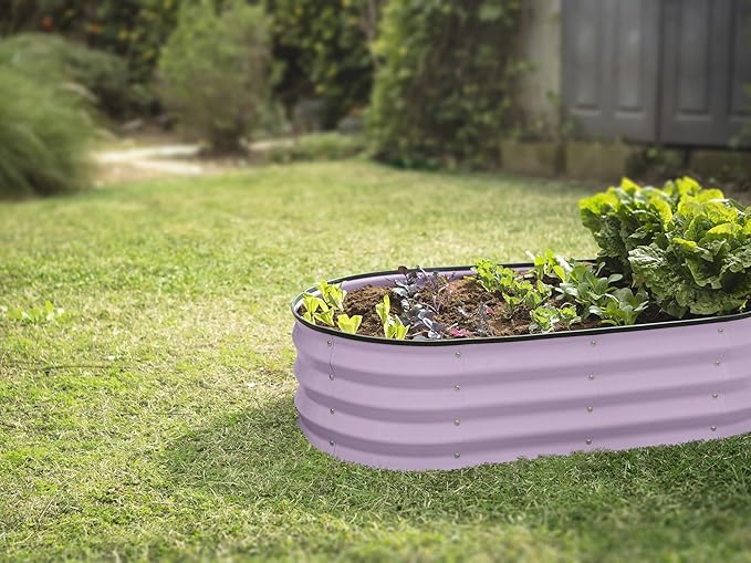 Galvanized Raised Garden Beds Outdoor // 4×2×1 ft (2-Pack) Planter Raised Beds for Gardening, Vegetables, Flowers (Lavender) // Large Metal Garden Box