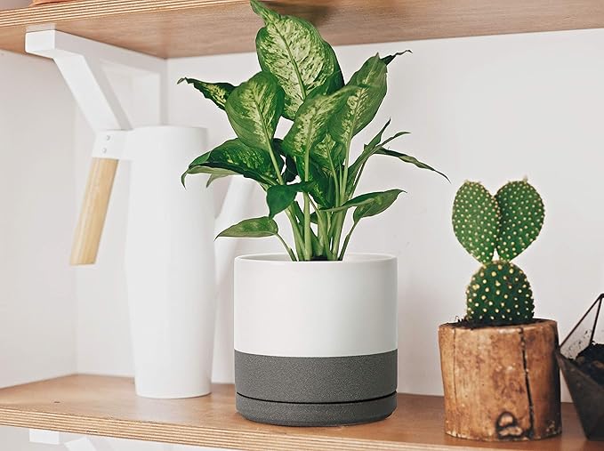 D'vine Dev Set of 2 Plants Pots, 8 Inch Ceramic Planter Pot for Plants with Drainage Hole and Saucer, White/Speckled Grey, 94-V-D-6