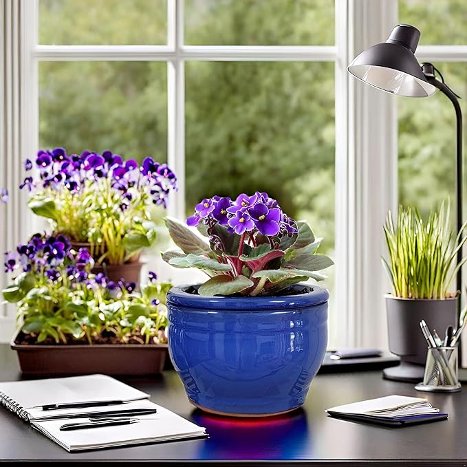African Violet Pots Self Watering Round Ceramic Violet Pot (Blue, 6 inch)