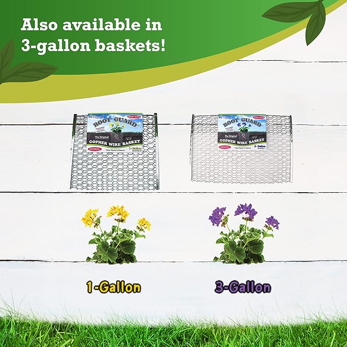 Digger’s 1-Gallon Heavy-Duty Wire Basket - Gopher Wire Basket for Perennials & Vegetables (12 Baskets)