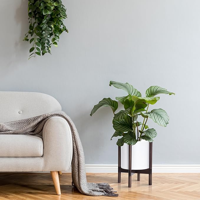 D'vine Dev Planter Pot with Stand - 10 Inch Plastic Cylinder Flower Pot with Wood Planter Holder for Indoor, Matte White Pot + Walnut Color Stand, 55-C-L-1