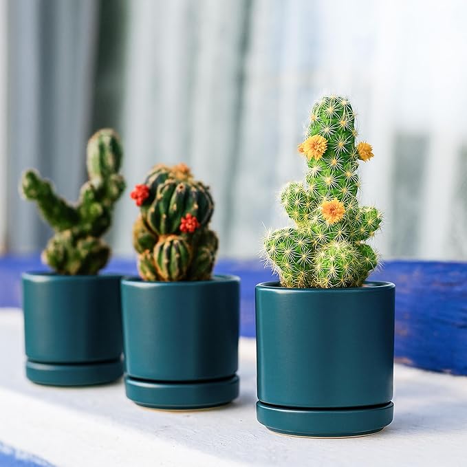 D'vine Dev Set of 4 Small Ceramic Plant Pots, 3.5 Inch Succulent Planter Pot for Plants with Drainage Hole and Saucer, Teal, 94-X-A-9