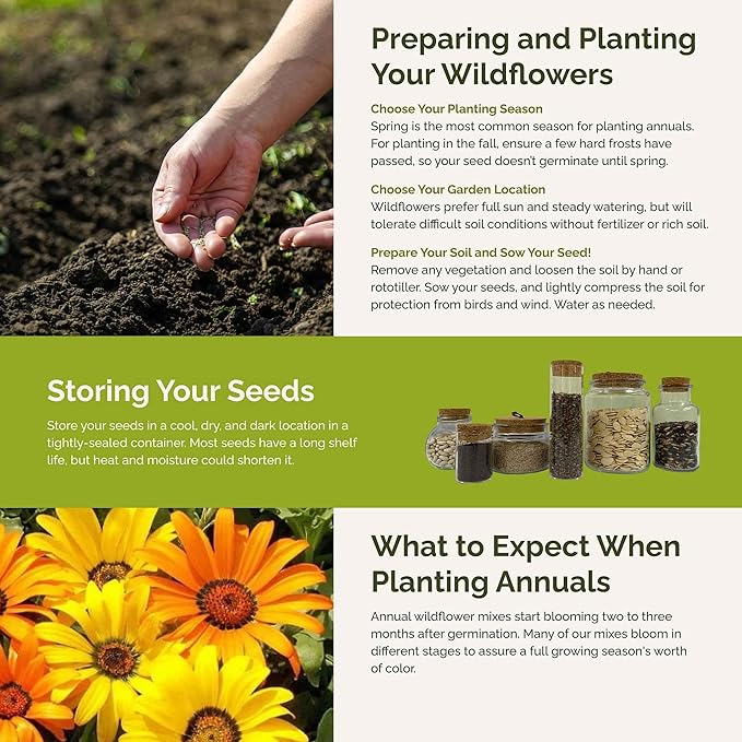 Eden Brothers Royal Meadow Flower Mixed Seeds for Planting, 5 lb, 2,400,000+ Seeds with Morning Glory, African Daisy | Attracts Pollinators, Plant in Spring or Fall, Zones 3, 4, 5, 6, 7, 8, 9, 10