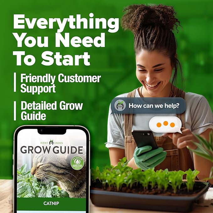 HOME GROWN 𝗨𝗦𝗔 𝗣𝗥𝗘𝗠𝗜𝗨𝗠 Catnip Seeds (Bulk Pack) 𝗡𝗢𝗡-𝗚𝗠𝗢 Heirloom Herb 2,116 Seeds - Indoor or Outdoor Seed - High-Germination Cat Nip - Cat Safe Plants (Nepeta cataria)