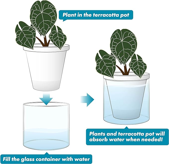 D'vine Dev 6 Inch Design Self Watering Planter for Indoor Plants, White Terracotta Pots with Cylinder Glass Cup, 37-X-B-2
