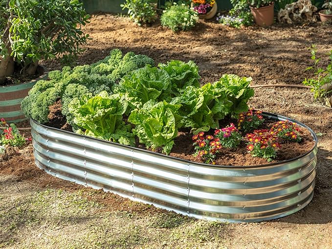 Galvanized Raised Garden Beds Outdoor // 6×3×1 ft (2-Pack) Planter Raised Beds for Gardening, Vegetables, Flowers // Large Metal Garden Box // Patented Tool-Free Design (Silver)