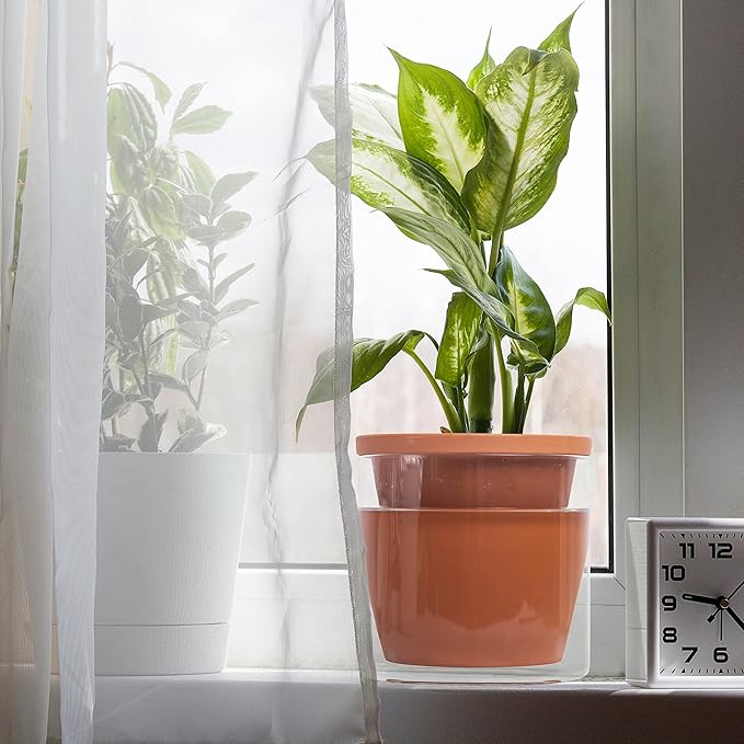 D'vine Dev 6 Inch Design Self Watering Pot for Indoor Plants, Terracotta Planter with Cylinder Glass Cup, Set of 2, 37-X-B-2
