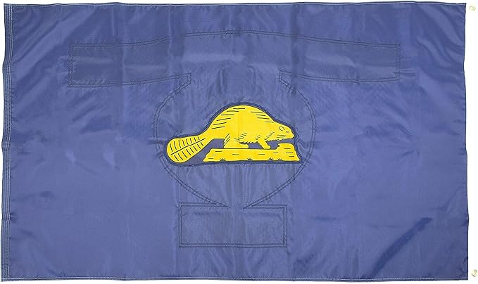 FlagSource Oregon Nylon State Flag, Made in the USA, 3x5'