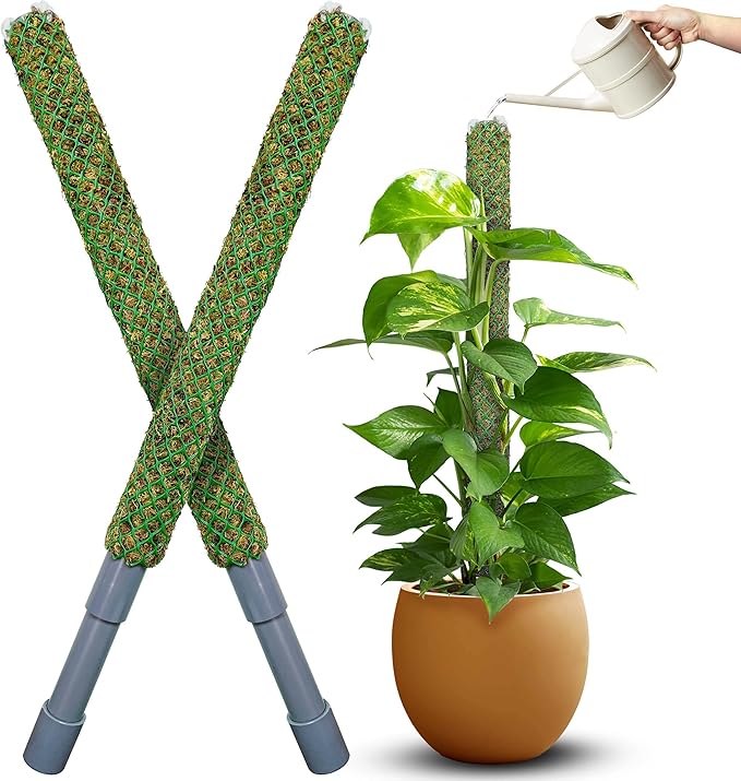 DUSPRO Self-Watering Natural Green Forest Moss Pole, Easy to Use Moss Sticks for Indoor Plants, Climbing Plant Support Stake with Self-Watering Feature, Moss Pole Monstera Plant Support 2pcs 23''