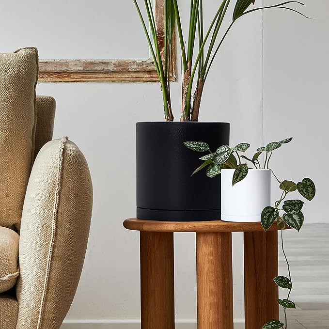 D'vine Dev 4 Pack 5 Inch Modern Plastic Plant Pots, Small Garden Planters for Plant with Drainage Holes and Saucers, White Color, 74-Z-G-2