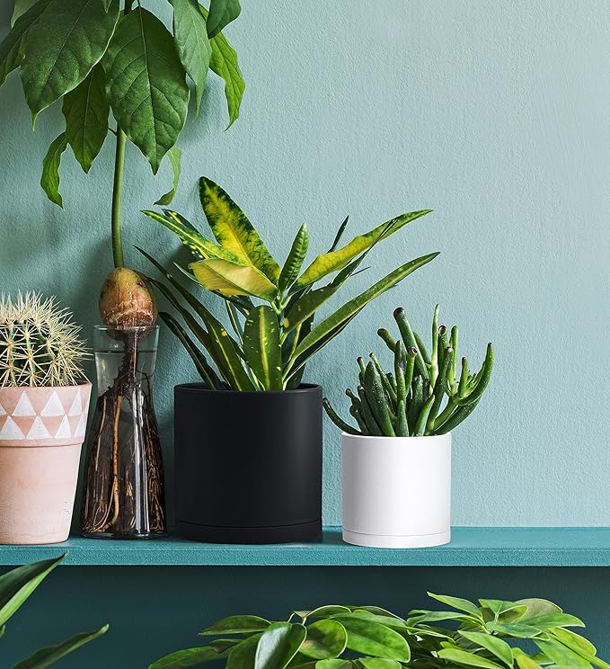 D'vine Dev 6 Pack 4.5 Inch Modern Plastic Plant Pots, Small Garden Planters for Plant with Drainage Holes and Saucers, White Color, 74-Z-F-3