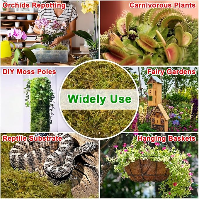 Halatool 2.2LB Forest Moss for Plants Indoor, 50QT Orchid Moss for Potting Mix, Natural Dried Sphagnum Moss Bulk for Moss Pole Succulents Garden Flowers Reptiles