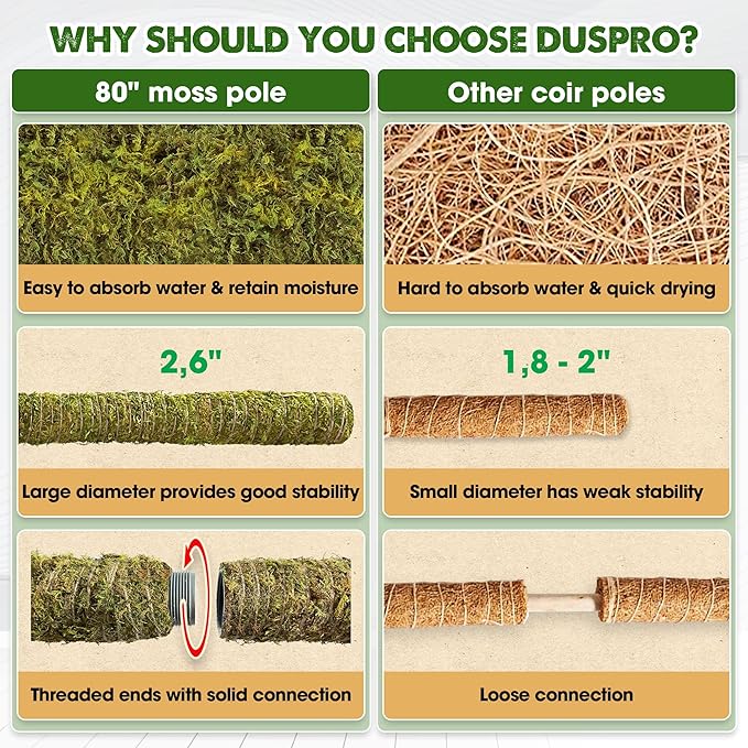 DUSPRO 80 Inches Large Moss Pole for Plants Monstera, Plant Stakes for Indoor Plants, Monstera Plant Support, Plant Support/Plant Pole for Big Climbing Plants Indoor (1pc., 80'')