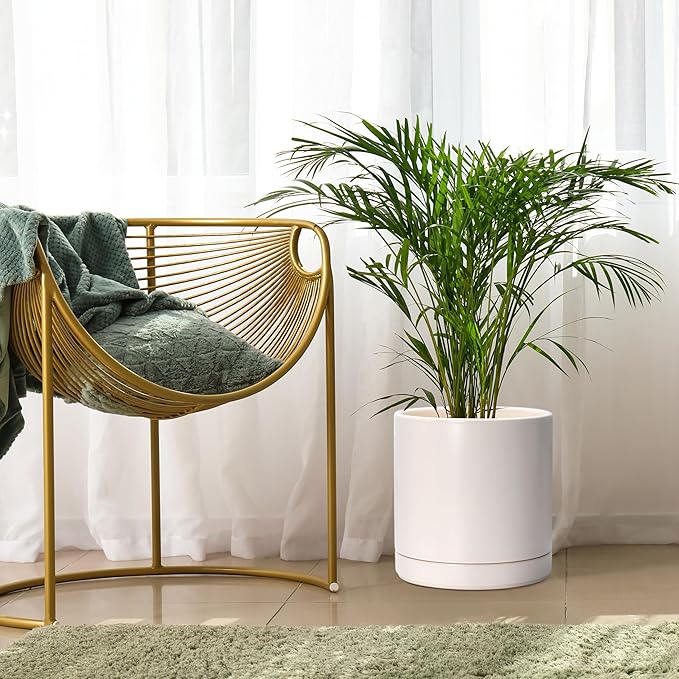 D'vine Dev 10 Inch Ceramic Planter Pot with Drainage Hole and Saucer, Indoor Cylinder Round Planter Pot, Oatmeal, 94-O-E-8