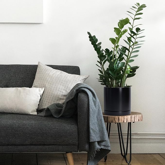 D'vine Dev Set of 2 Plants Pots, 8 Inch Ceramic Planter Pot for Plants with Drainage Hole and Saucer, Black, 94-V-D-2