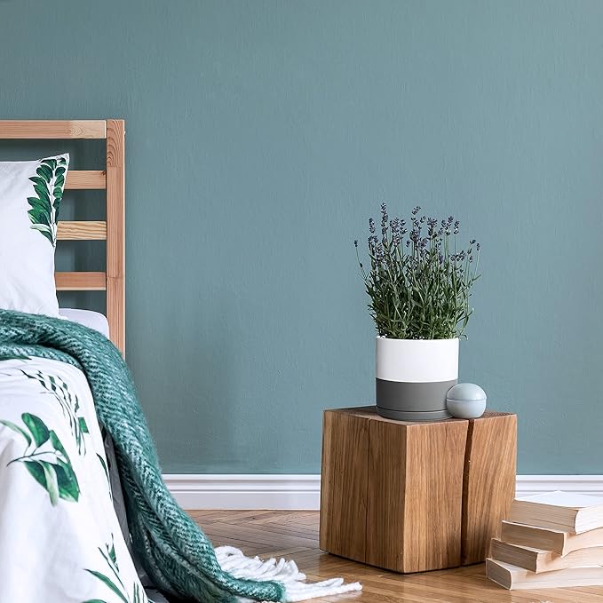 D'vine Dev 6 Inch Ceramic Planter Pot with Drainage Hole and Saucer, Indoor Cylinder Round Flower Pot, White/Speckled Grey, 94-O-C-6