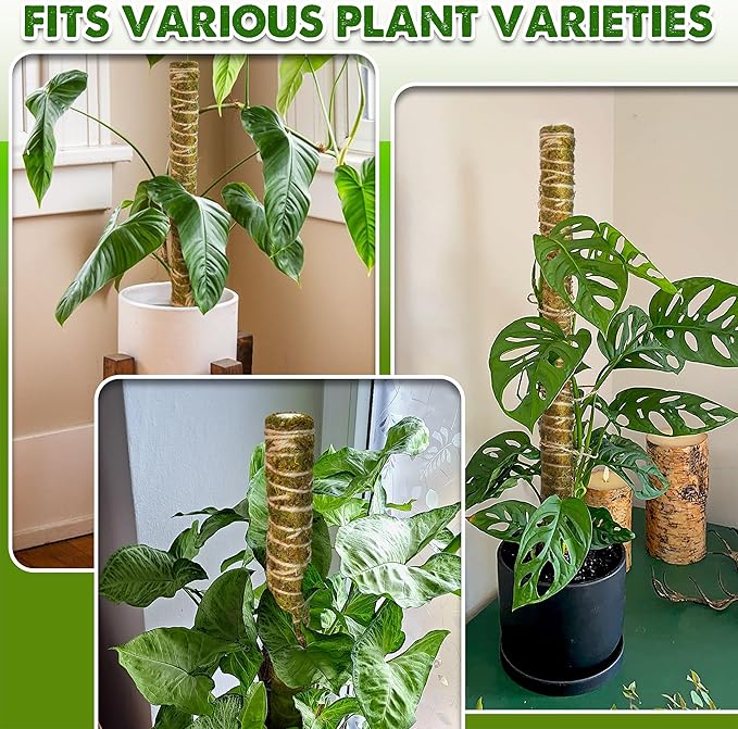 DUSPRO Natural Stackable Moss Pole for Plants Monstera, Forest Moss Sticks, Monstera Plant Support, Handmade Plant Stakes for Indoor Plants for Potted Plant to Grow Upward 02 pcs 22''