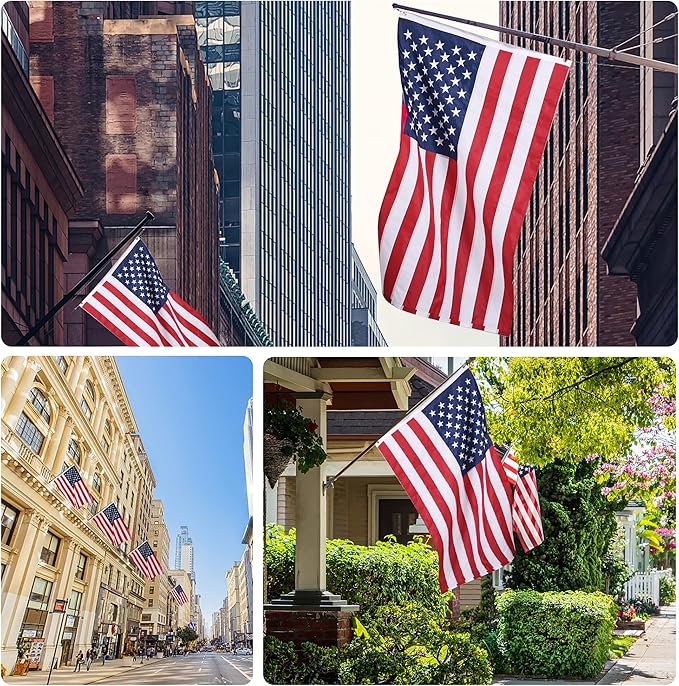 American Flag 10x15 Outside, US Flags for Outdoor Indoor, Heavy Duty Durable, Deluxe Embroidered Stars, Brass Grommets, Sewn Stripes, Vivid Color, Fade Resistant and waterproof